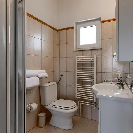 Haus Lilli Mit Pool Ražanac