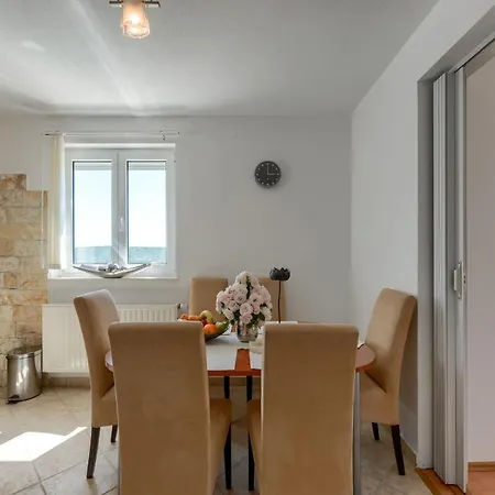 公寓 Haus Lilli Mit Pool Ražanac