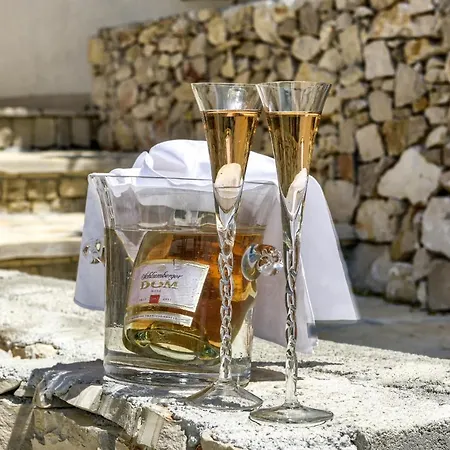 Lejlighed Haus Lilli Mit Pool Ražanac